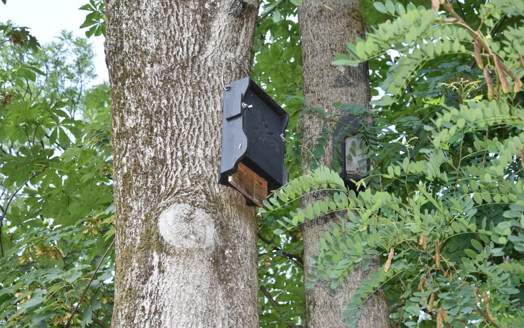 Beleuchtung des Geh- und Radwegs am Mangfallkanal