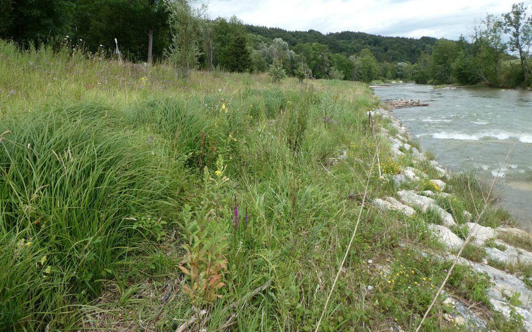 Drainageleitung zum Hochwasserschutz im Mangfalltal